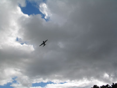 2006carn buzz carnival57