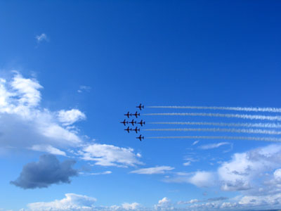 2006carn buzz carnival63