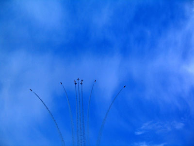 2006carn buzz carnival64