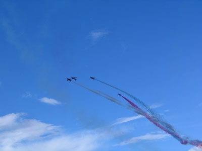 2006carn buzz carnival66