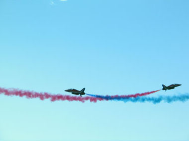 2006carn buzz carnival70