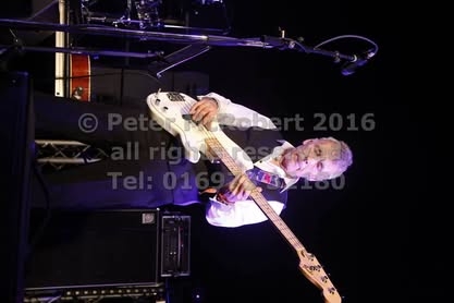 2016 beer festival saturday gallery 2 pic (76)
