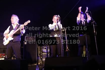 2016 beer festival saturday gallery 2 pic (77)