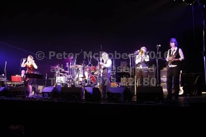 2016 beer festival saturday gallery 3 pic (123)