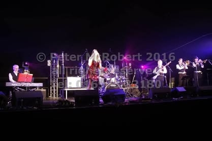 2016 beer festival saturday gallery 3 pic (128)