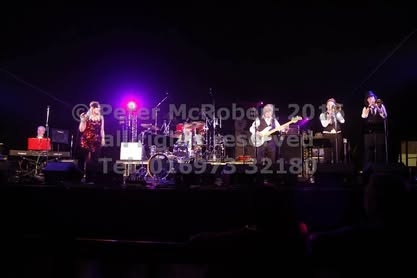 2016 beer festival saturday gallery 3 pic (143)
