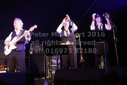 2016 beer festival saturday gallery 3 pic (94)