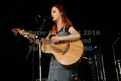 2016 beer festival sunday pic (125)
