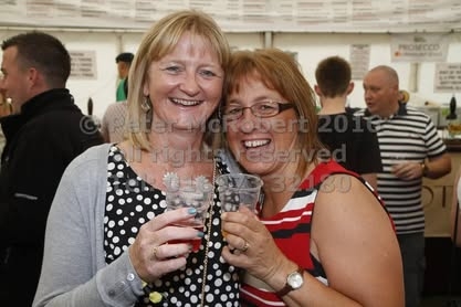 2016 beer festival sunday pic (46)