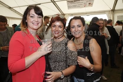 2016 beer festival sunday pic (48)