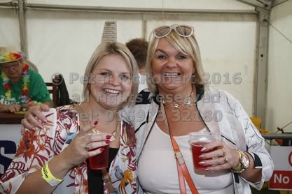 2016 beer festival sunday pic (51)