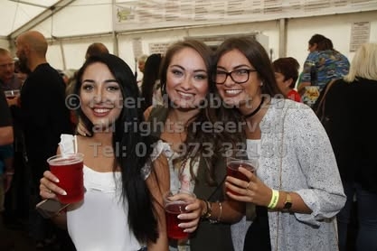 2016 beer festival sunday pic (82)
