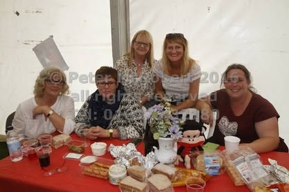 2016 beer festival sunday pic (84)