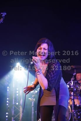 2016 beer festival thurs pic (26)
