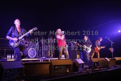 2016 beer festival thurs pic (6)