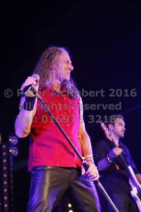 2016 beer festival thurs pic (9)