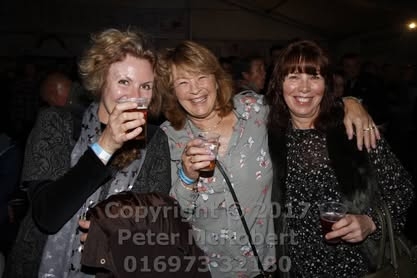2017 beer festival friday pic (20)
