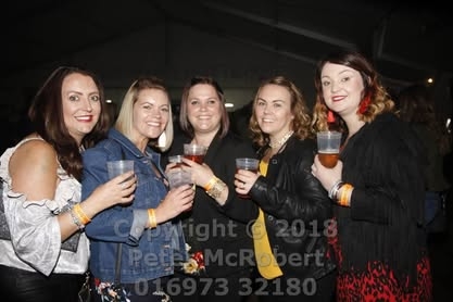 2018 beer festival fri pic (129)