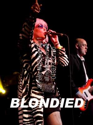 a blondied pbp 8012