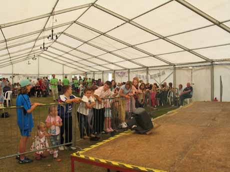 beerfestkareoke09