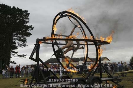  mg 2878