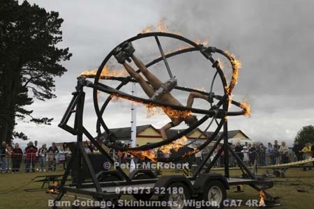  mg 2916
