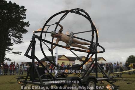  mg 2931