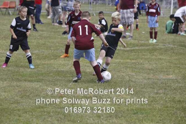 P5P9599 1 640x480