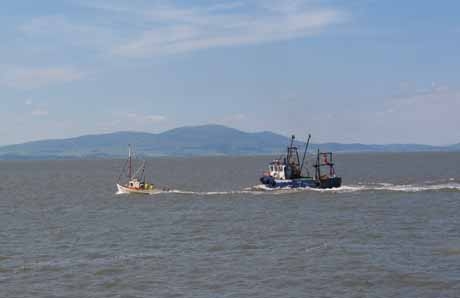 TrawlerRace Finish 640x480